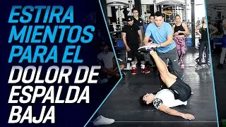 COMO ESTIRAR LA ESPALDA BAJA - CURSO DE EJERCICIOS CORRECTIVOS