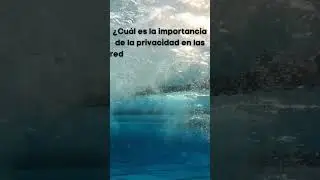 Curiosidades D9 #privacidadeonline
