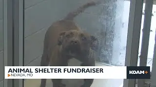 Nevada, Missouri Animal Shelter Fundraiser 11-22-25
