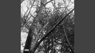 Push (feat. Hasani Vibez)