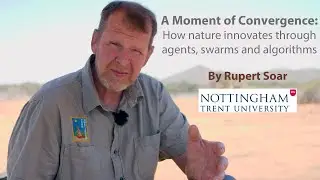 A Moment of Convergence: how nature innovates through agents, swarms and algorithms