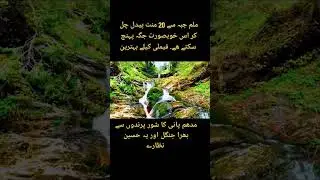 Green Valley Malam Jaba|Best Tourism Spot for families In Swat