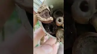 Reed Bee hotel update