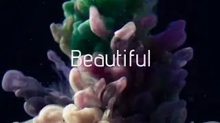 Beautiful (Lee Harris & Davor Bozic)