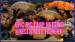 Bells Mill Fishery 