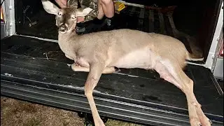 Homemade deer cane @KendallGray1 @KendallGrayVlogs 