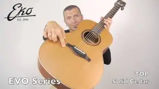 Evo Parlor Acoustic Guitar   Chitarra Acustica Audio and Video Test