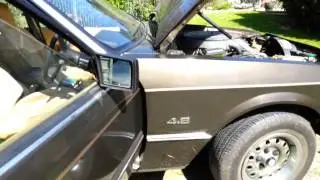 XD Falcon V8 walk around