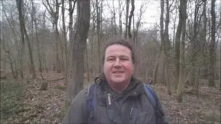 Mammal skeleton hunt!