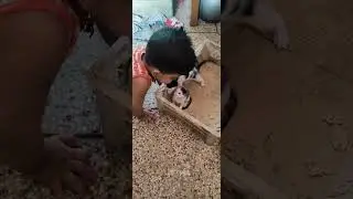 @iamduamoni  VS @PiuFamily