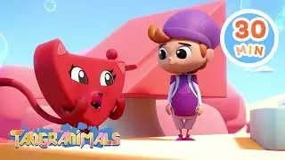 The Tangra-show | Chicky's Playhouse | Kids Cartoons Collection