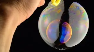 Trap that Bubble