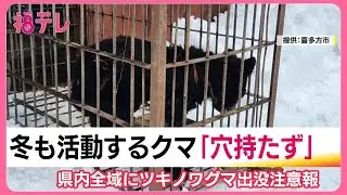 冬眠しない“穴持たず”に注意！　福島県では4月までクマ出没注意報を発令　雪深い会津地方で目撃相次ぐ (26/01/15 19:26)