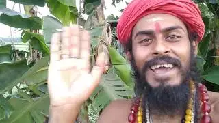 Amal baba