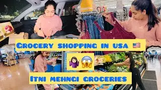 | Grocery Shopping In USA 🇺🇸 | itni mehngi groceries 🤷🏻‍♀️| Support | Chipotle 😍| 