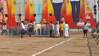 పల్నాడు జిల్లా చిలకలూరిపేట గ్రామం 2 పల్ల విభాగం 2వ జత