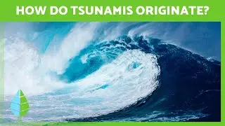 Как образуется цунами? 🌊 (Определение и фазы)
