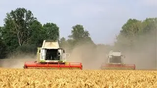 Wheat Harvest | Season 2016 [www.plakys.lt]