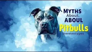 Busting Myths: The Truth About Pitbulls