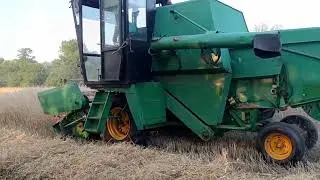 Żniwa 2024🌾Żyto i pszenica🌾 Volvo bm s830