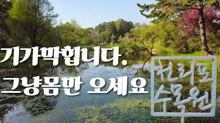 너무 예뻐 살고싶은 곳 #천리포수목원 #힐링명소 #태안에서 꼭 가봐야하는곳 #자연의미화