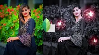 New Dark Tone Effect With Butterfly Photo Editing | Snapseed Photo Editing/@ArfinEditz New 2023