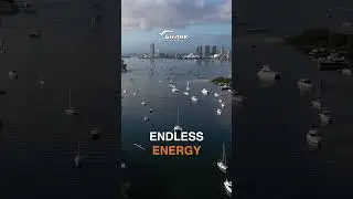 Celebrate HAPPY AUSTRALIA DAY with Smarter Home Energy 🔋⚡ | Shark Solar #happyaustraliaday