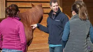 Steve Chiasson Integrative Veterinary Practice