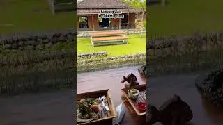 Restoran Kampung Ulam, Ngrajek Magelang #shorts