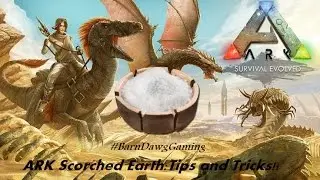 ARK Scorched Earth  - How to Make Preserving Salt (Tips and Tricks)