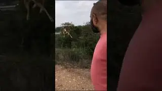 best buck Video #short #chaudharypubggaming #youtubeshorts