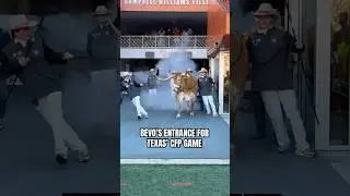 Bevo is back after being banned from the SEC Championship Game 🚨