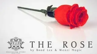 The Rose by Bond Lee & Wenzi Magic