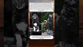❄️🐕 Balto: il cane che salv&ograve; Nome durante la grande epidemia di difterite