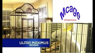 📦 Распаковка и сборка клетки для попугаев Mcage 63 дюйма