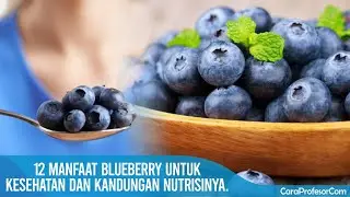 12 Manfaat Blueberry Untuk Kesehatan Dan Kandungan Nutrisinya