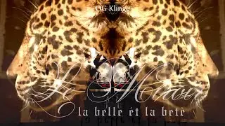OG Klinge - Le Miroir