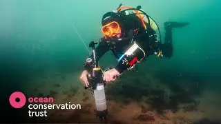 Revolutionising Seagrass Restoration - Meet the HMS OCToPUS! | Ocean Conservation Trust