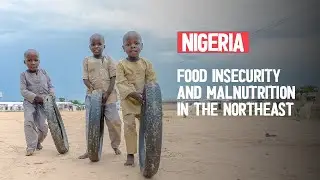 Emergency Response in Northeast Nigeria (2016)