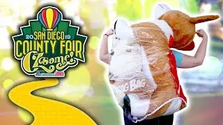Crazy carnival game wins and more at the San Diego County Fair!