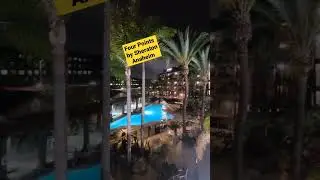 The BEST off property hotel in Disneyland #shorts #Disneyland