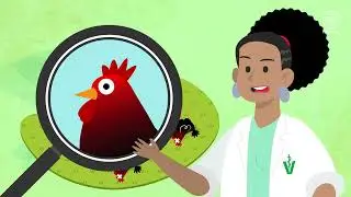 Influenza Aviar: &iquest;Qu&eacute; es y c&oacute;mo reconocerla?