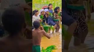 GMLP SCHOOL IRINGALLOOR|| കുട്ടികൾ പാടത്ത് ഞാർ നടാൻ ഇറങ്ങിയതാ #shorts#trending#viral#foodday