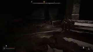 STALKER 2 Heart of Chornobyl Story (PC) Veteran