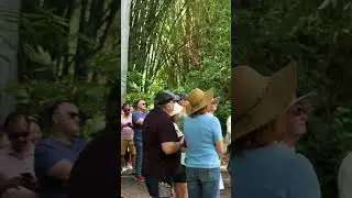 World Bamboo Day | Guided Tours at Bamboo Land