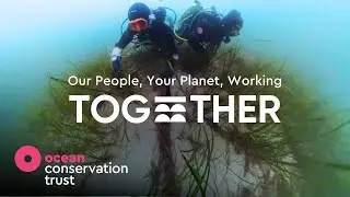 Our People, Your Planet, Working Together | Big Give 2025