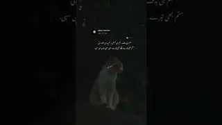 Urdu Poetry | Hindi Poetry |Two line poetry |one line poetry |Whatsapp status|Sad|Insta Reel|Shayari