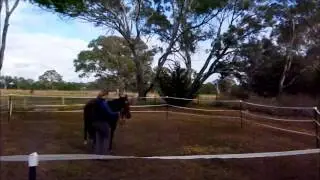 Ground Manners