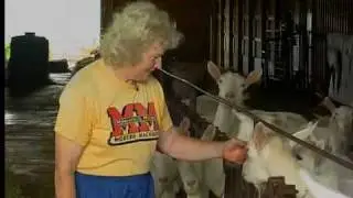 Cleveland cheesemaker on the menu