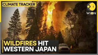 Japan Wildfire: Deadly Wildfires Damage Homes In Western Japan | WION Climate Tracker